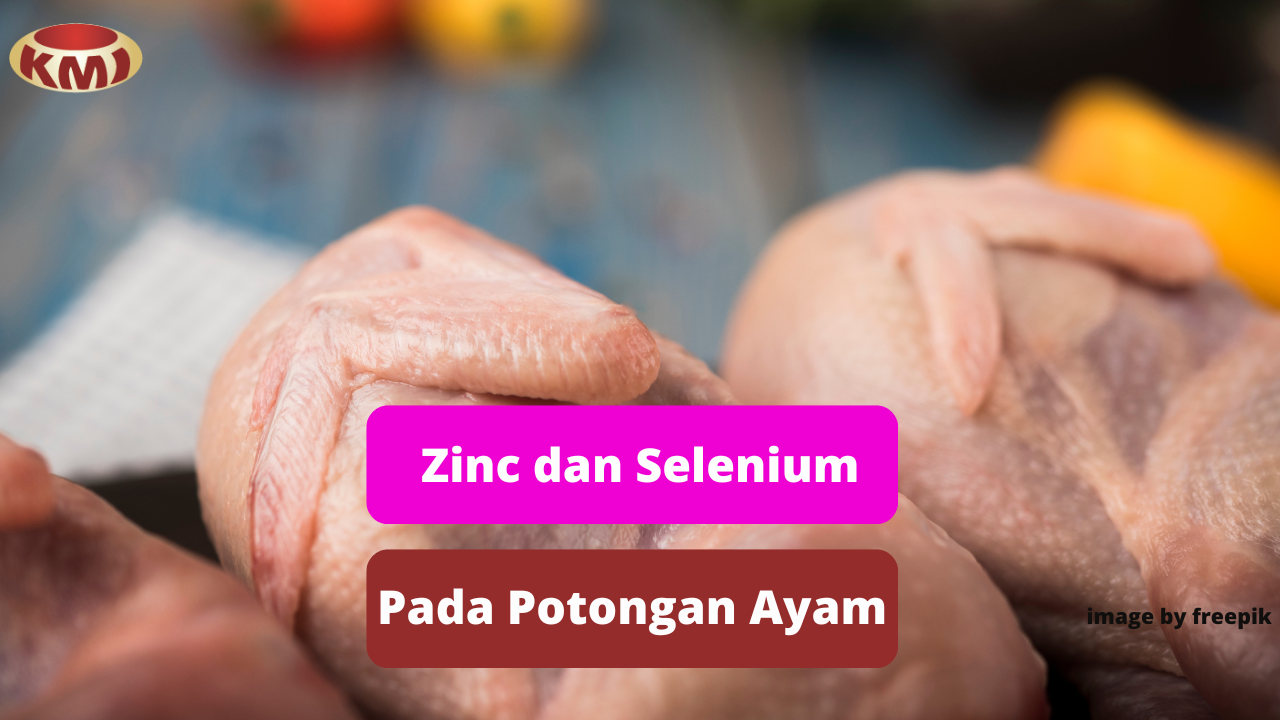 Beda Kandungan Zinc dan Selenium Pada Potongan Ayam